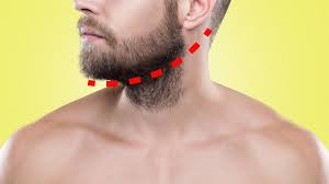 HOW TO TRIM AND SHAVE A NECK BEAR TO PERFECTION