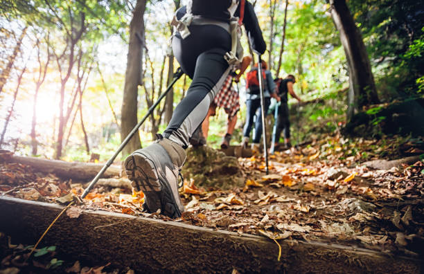 The Pros and Cons Of Hiking with Trekking Poles